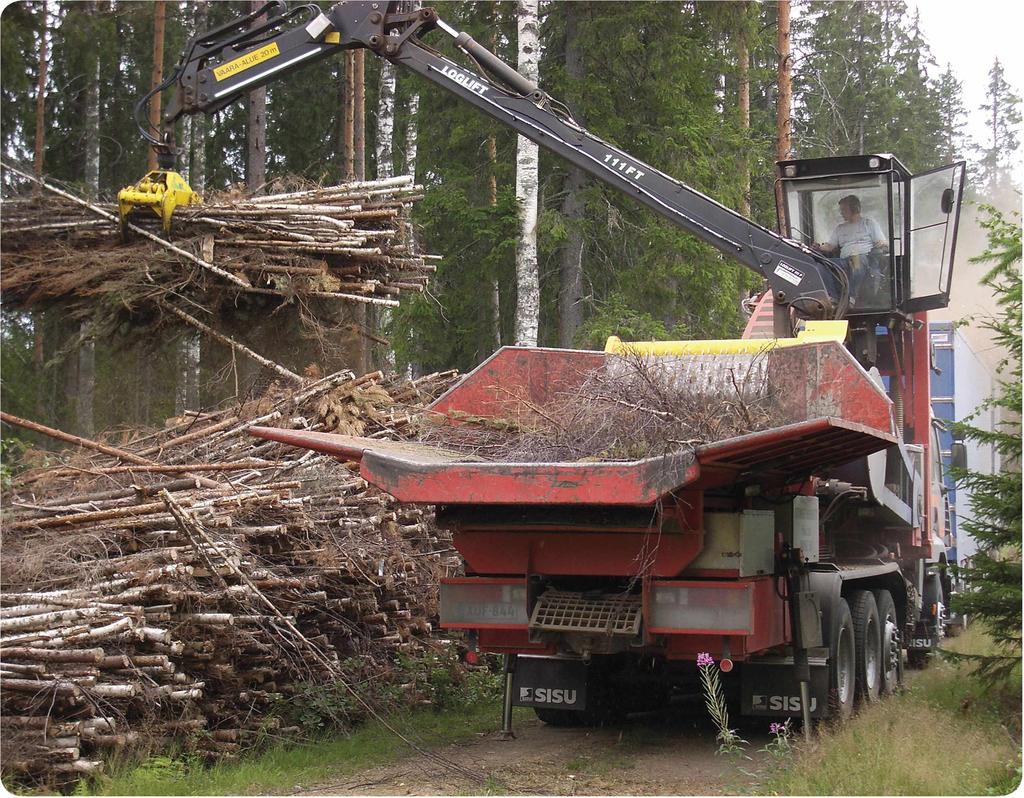 SELVITYKSIÂ Energiapuuvirtojen