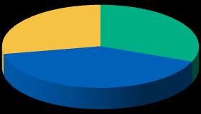 30 % 28 % 2009 2008 Anturikiekot 41 % 37 %