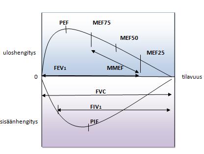 14 syystä MEF50 ja MEF25 ovat riippuvaisia enimmäkseen keskisuurten ja pienten hengitysteiden läpimitasta sekä keuhkojen kimmoisuudesta. (Sovijärvi ym. 2012, 84 85.