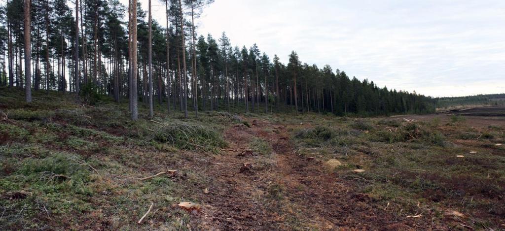 hiekanottokuoppa, kuvattu kaakosta.