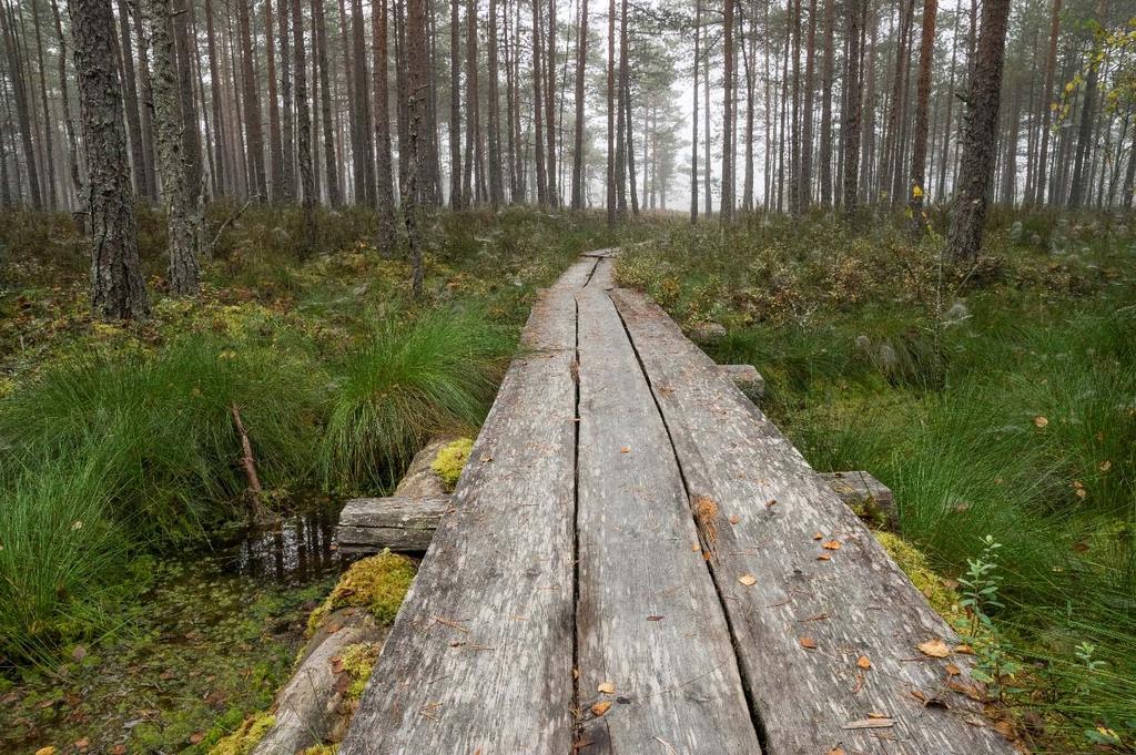 Sivu 10 2016 Satakuntaliiton toimintakertomus Maakuntahallitus 6.