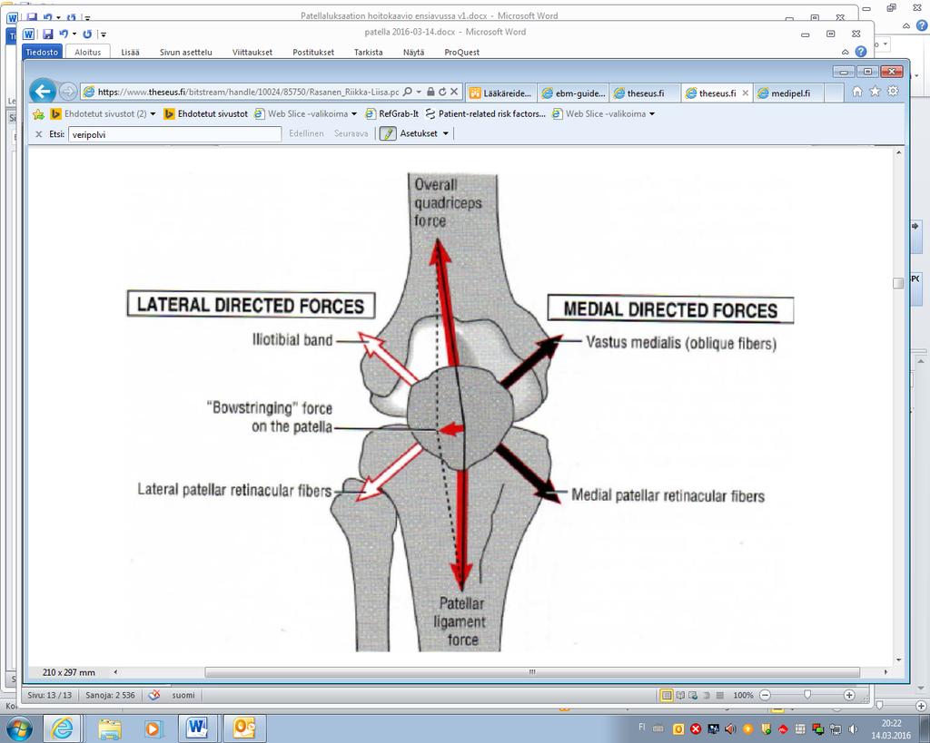 Oleellisimmat patellaa stabiloivat rakenteet on esitetty Kuvissa 2 ja 3. Kuva 2. Patellaa stabiloivat rakenteet. Kuva 3.