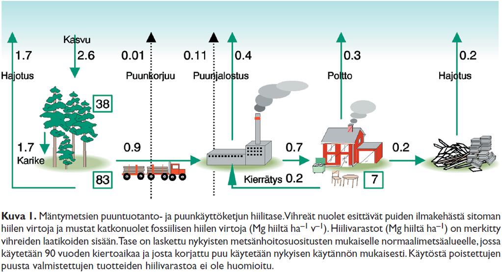 Hiilen varastointi metsään on helpompaa kuin puutuotteisiin Puusto 38 tn/ha / 2.