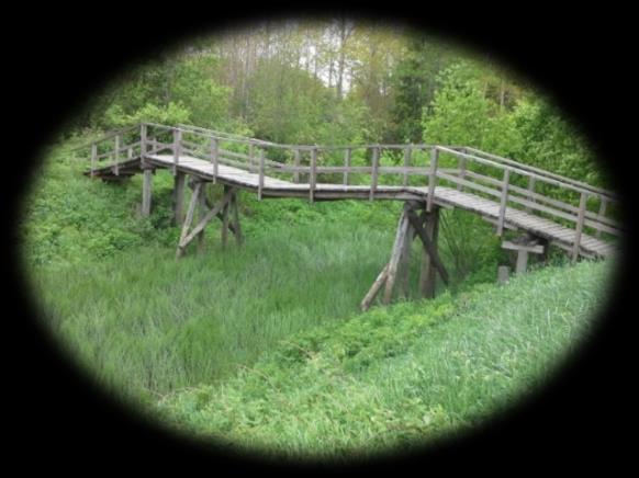 Luontoarvot, niiden säilyminen ja niihin kohdistuvat uhat, on syytä huomioida erityisesti