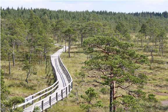 70 (101) Korvennevan tuulivoimapuisto FCG SUUNNITTELU JA TEKNIIKKA OY Kuva 8.20.