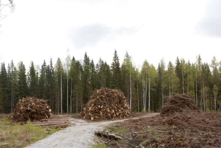 Metsäbiomassan suunniteltu käyttö 2020 Kansallisten päätösten (KMO) mukaan metsähakkeen käytön tulisi Suomessa olla vuonna 2020 noin 13,5 milj. m 3 vuodessa.