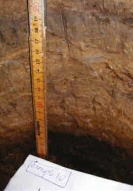 Lanajuopa-muodostuman sedimentit ovat kaivannoissa T1 (Säikkä I) ja T9 (Hevosluoto II) kerrostumisiältään todennäköisesti lähellä toisiaan ja edustanevat 1600- ja 1700-lukujen sedimentaatiota.