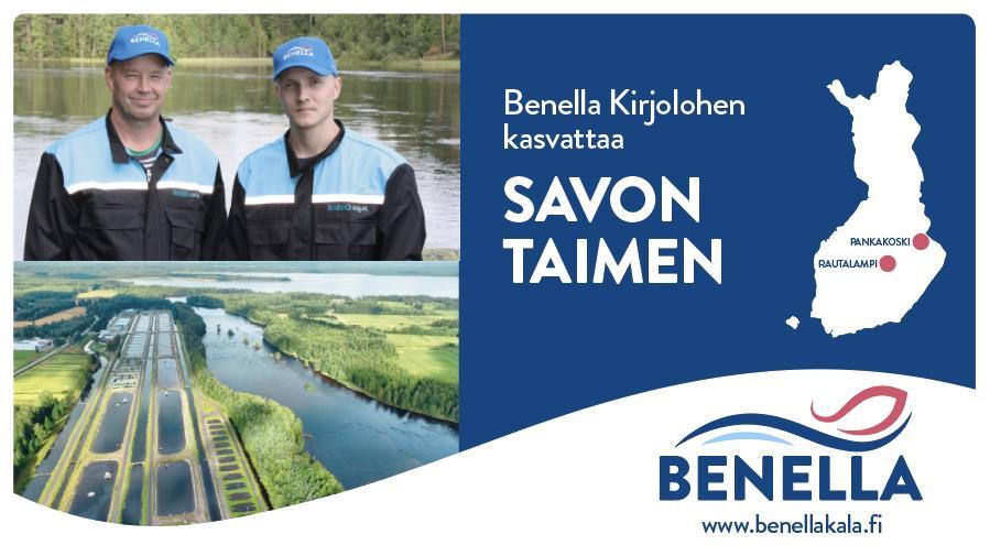 16 BENELLALLE KASVOT Keskitetty tai