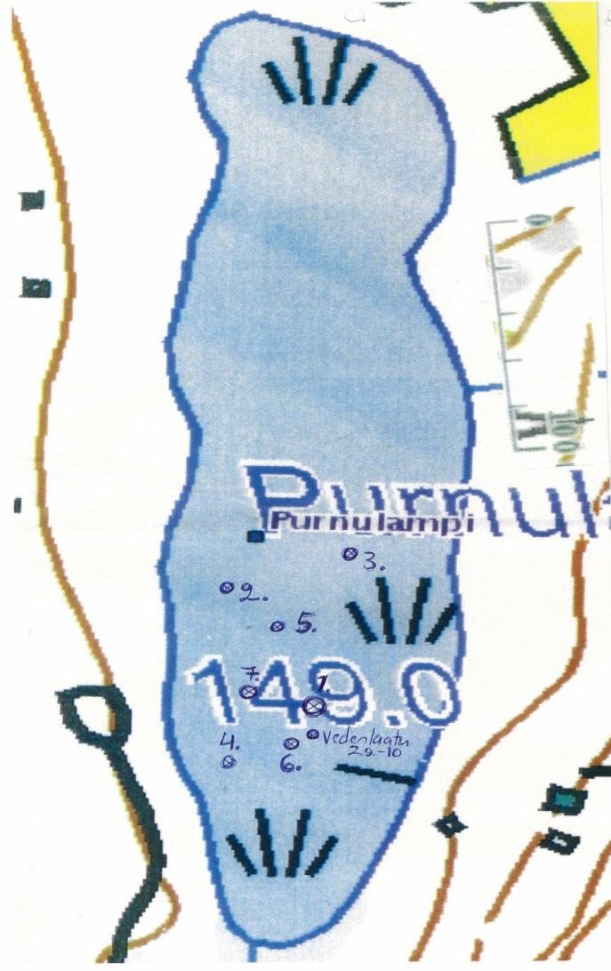Taulukko 7. Nordic koekalastusverkkojen sijainnit Purnulammessa 24.-25.08. (verkot 1 ja 2) sekä 01.- 03.09. (verkot 3-7) 2010.
