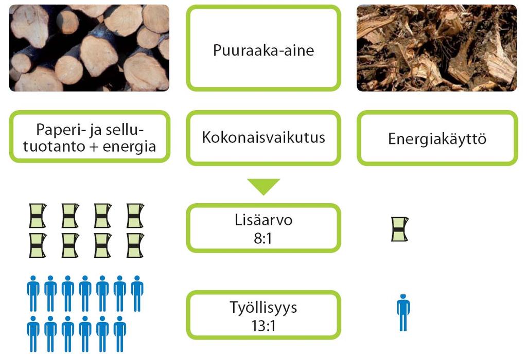 CEPI-raportin tulos: Puu massan- ja paperin valmistukseen ja