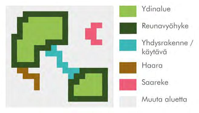 ovat liian pieniä ollakseen ydinalueita) (kuva 5). Analyysin tunnistamat muut alueet edustavat sellaisia maanpeiteluokkia, joiden ei katsota tässä muodostavan ekologista verkostoa (esim.