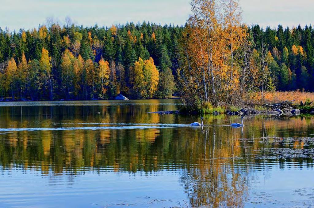 4.12 Hiilen sidonta & varastointi Kymenlaaksossa on metsä-, kitu- ja joutomaata noin 3 600 km 2, josta 3 000 k-m 2 kivennäismailla ja 600 k-m 2 turvemailla.