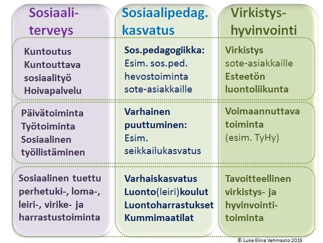 Harrastus, oppiminen, kokeminen