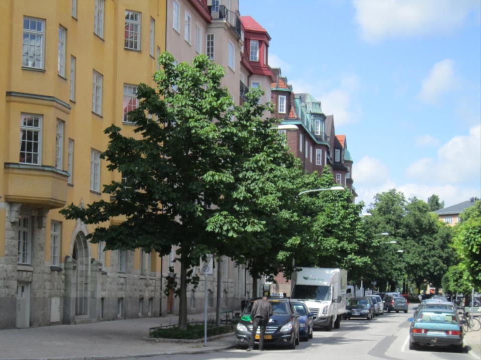 Kocksgatan Prunus