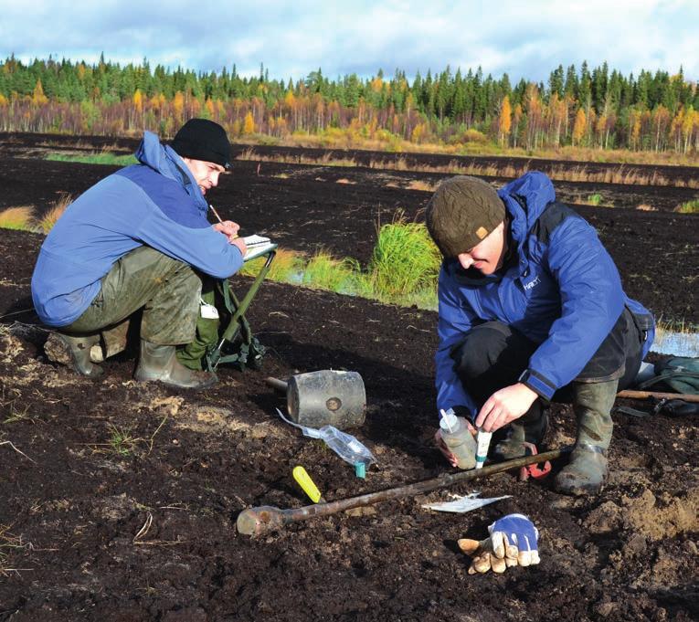 Maan kuivatus happamilla sulfaattimailla lisää alapuolisten vesistöjen happamoitumisriskiä. Tässä työssä on kartoitettu turvetuotannon aiheuttamia riskejä valumaveden happamoitumiselle.