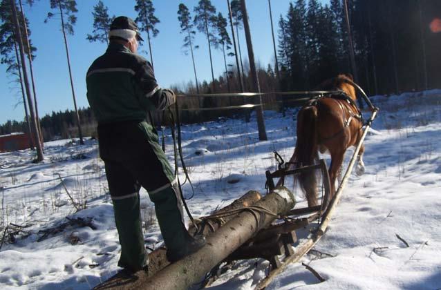 40 Katsaus hevosalan yritystoimintaan raportti hevosyrittäjyys 2009 -kyselystä Ravihevosten omistamisessa hevosten yhteisomistaminen yleistyy, mikä tuo uusia ihmisiä lajin pariin ja lisää kysyntää