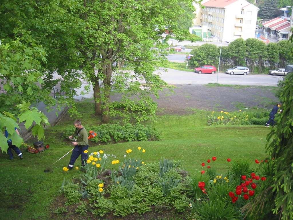 Jyrkissä rinteissä nurmi leikataan siimalla ja