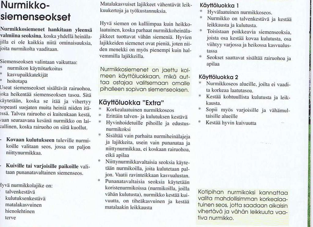 Kotipihan