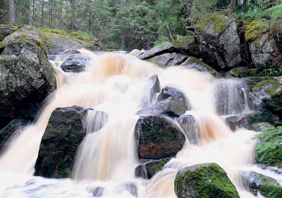 Karhunahas, Valkeajärvi Pentti Silence of the nature Paddle along the Wanha Witonen waterway and enjoy the beauty of nature.