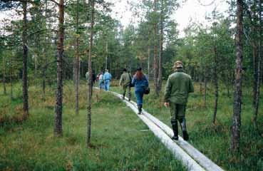 Go on a hike to the Tampinkieros nature trail and make a campfire coffee at the lean- to.