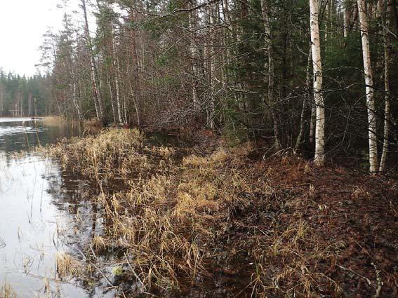 Kalliomäen ranta-asemakaava, kaavaselostus, liite 3: Muinaisjäännösinventointi 2015 1 PÄLKÄNE Sappee