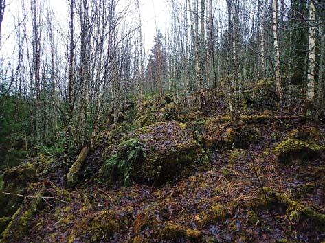 Kalliomäen ranta-asemakaava, kaavaselostus, liite 3: Muinaisjäännösinventointi 2015 8 tason vaihtelu selittynee sillä, että Arakosken pudotuksen yläpuolella on ollut pato.