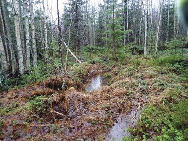 Edellä esitetystä käy ilmi, että tutkimusalue on ollut historiallisella ajalla asumatonta nykyaikaan saakka, ja ympäristössäkin asutusta on ollut suhteellisen vähän.