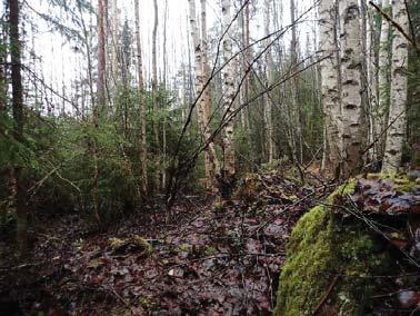 Ajouran varrella on raivaamisessa syntynyttä resenttiä louhintajätettä. Kaava-alueen koillisosassa on louhikkoista ja jyrkkää rinnettä, ja louhikkoa on myös mäen lakiosalla.