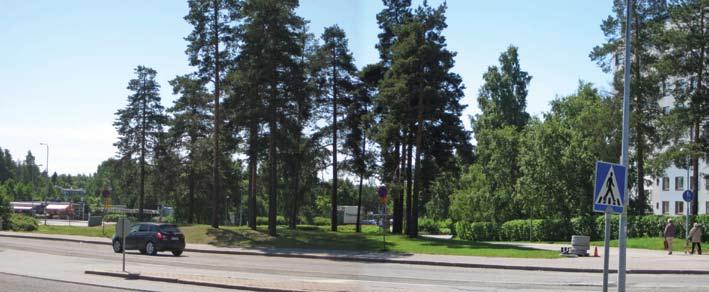 Palaute Kontulan ostarille tultaessa Kurkimäen suunnasta Keinulaudantietä pitkin ennen alikulkua oleva kukka torni on ollut mahtavia viime kesinä. Se siinä Kiikun ja Kontulankaaren kolmiossa.