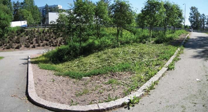 PUISTOT Tavoite Kosteikkoalue puhdistetaan säännöllisesti. A2- hoidon taso pidetään koko alueella yllä (myös luoteisalueen kolmiomaisen pensasalueen sisäpuolella).