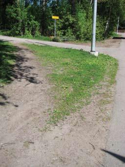 Kiinalaispuisto Kinesparken (38.) Nykytila Uusi puisto, jonka kalliolla on arvokas luontokohde. Pohjoisosassa A3-alueella on risukasoja ja kaadettujen puiden kantoja. Penkkien pinnat ovat kuluneet.