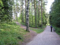 LUONNONHOITO Vesalan, Kontulan, Kurkimäen ja Kivikon metsät ovat iältään pääosin varttuneita tai nuoria, metsät ovat toistaiseksi pääasiassa elinvoimaisia ja kehityskelpoisia.