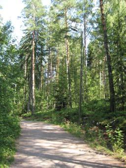 Harvennuksien tavoitteena on parantaa metsään jäävien puiden elintilaa ja elinvoimaa, jolloin ne kasvavat kookkaiksi ja elävät pidempään.