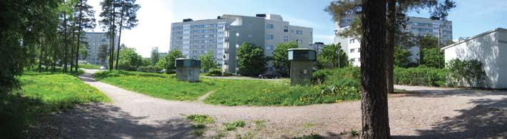 tontin rajalta (kallioinen länsialue), täydentämällä puiston keskiosan lehtipuuryhmä uusimalla yksi poistettu yksilö sekä uusimalla itäosan pensasalueilta kuolleet yksilöt.
