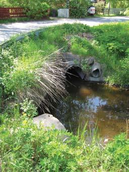 Puron varrella kasvaa laaja haavikko, joka levittäytyy polun läheisyyteen. Kevyen liikenteen yhteys jatkuu edelleen Vantaan puolelle.