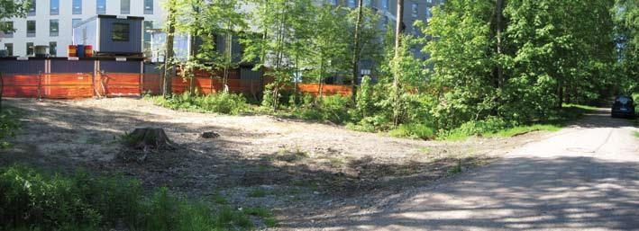 PUISTOT Suunnitelmakauden loppuosa Vesalan kentän lähistölle kaavaan merkityt reitit ja Lampipolulle alueen kaakkois- ja lounaiskulmissa, kaavan osoittamassa polkukohdassa oleva kulumayhteys