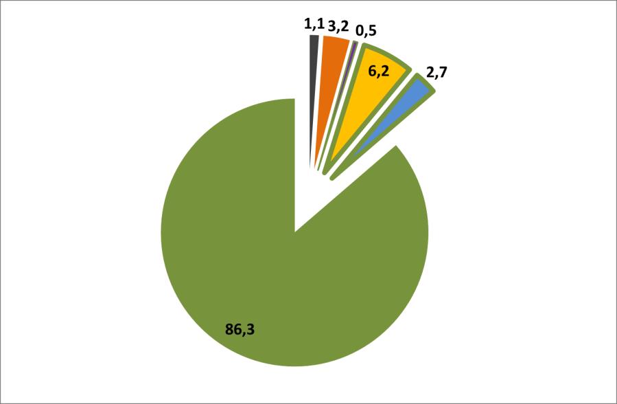 Iäkkään väestön osuudet säännöllisissä palveluissa, % 65-vuotta täyttäneistä joka kymmenes palveluissa 75-vuotta täyttäneistä joka viides palveluissa % % Kotona asuvat, tavanomaiset palvelut ml.