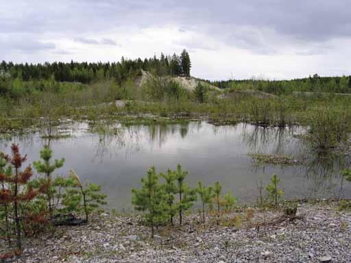 Lisäksi alueen maasto on hyvin kivinen ja pohja tiivis, mikä hankaloittaa kasvillisuuden palautumista alueelle. Alueen rintaukset ovat myös paikoin hyvin jyrkät. Kuva 333.