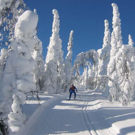 Kuiva helmikuu Helmikuun sademäärät jäivät aurinkoisen loppukuun vuoksi melko pieniksi eikä lumipeite juuri kasvanut.