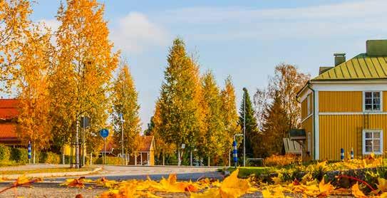 RAKENNUSTASELOSTE TONTTITIEDOT Oma tontti 1 533 m 2, kiinteistötunnus 140-1-51-6. Osoite Malminkatu 25, 74100 IISALMI. Talossa on 14 asuntoa, 9 autokatospaikkaa ja 6 autopaikkaa.