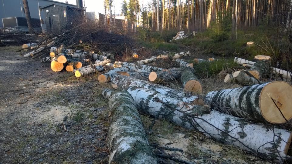 Vantaan tapaus Lokakuu 2015 Vantaan