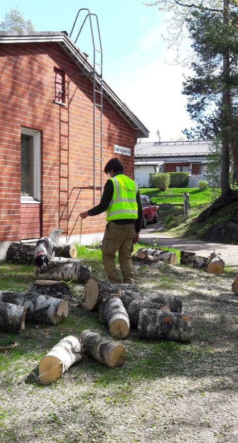Kartoitukset Kuvaus ja kiipeily Hajukoirat