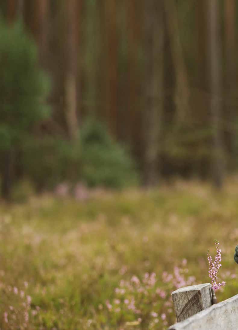 6 Kuuleminen uudelleen sisäkorvaistutteen avulla Luonnollisessa kuulemisessa ääniaallot kulkeutuvat korvakäytävän kautta ja saavat tärykalvon ja välikorvan kolme pientä luuta värähtelemään.