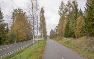 mäntyaidanteen välistä IMG_2262.
