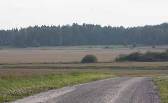mäeltä kohti Kolsanniittyä 7 IMG_4397.jpg 23