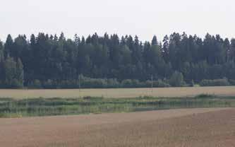 jpg Tuusulanjärven kulttuurimaisemaa Rantamon mäeltä kohti Seittelinkosteikkoa ja Lassilaa 1 IMG_4415.