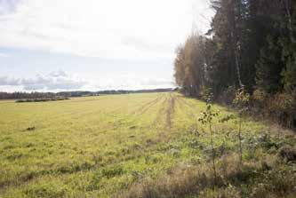 jpg Tuusulanjärven kulttuurimaisemaa Sarsalanpelto 4