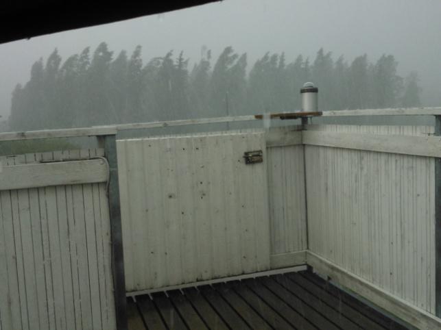 Kaadettavat puut on kuvattu, jotta nähdään onko kaadosta hyötyä. LAHJOITUKSIA JA AVUSTUKSIA Anottuna avustuksena saimme toimintatukea Jyväskylän kaupungilta ja Hankasalmen kunnalta.
