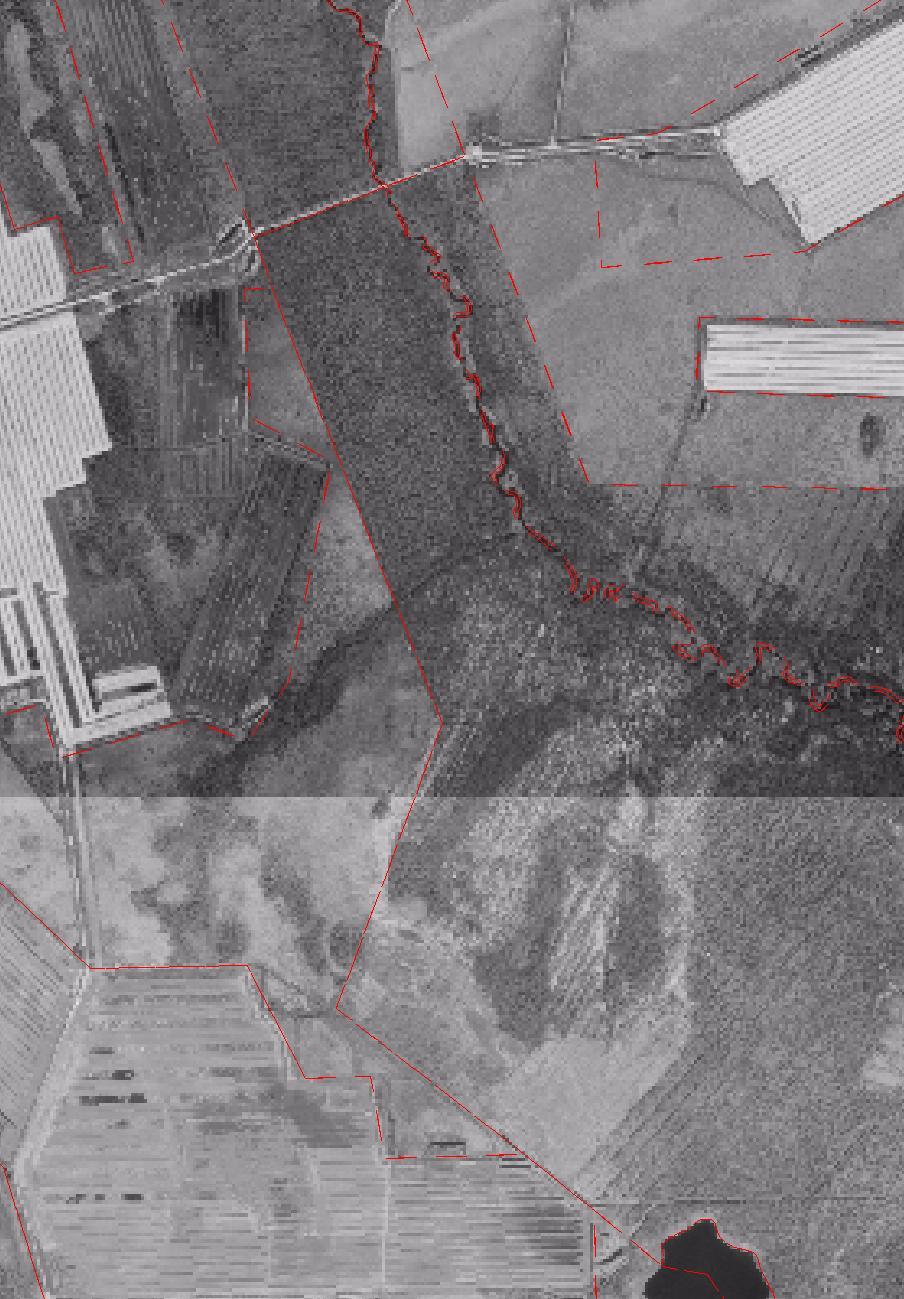 1 ha OlLkR pintavalutuskenttä tuotantoalue vaaleasara (RT) 0 0,25 0,5 km OlLN oligotrofinen