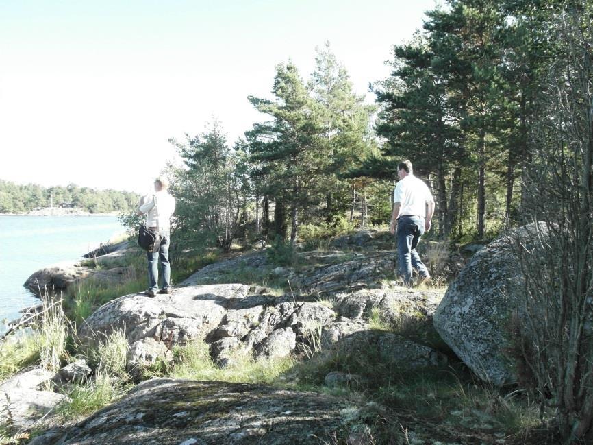 Luoteisrannan alavaa ja